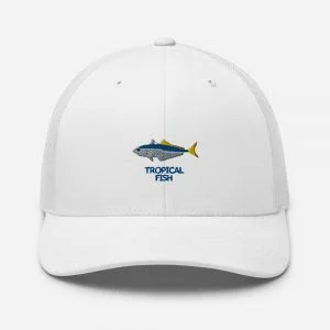 Gorra tipo trucker