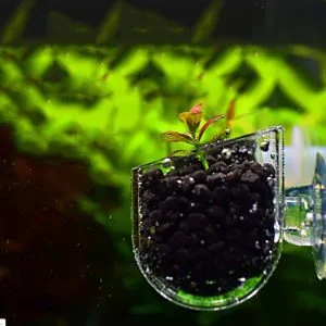 Mini maceta colgante de cristal para acuarios.