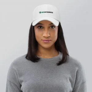 Gorra dad hat