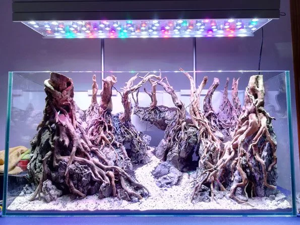paisaje acuario
