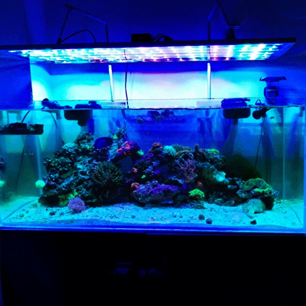 pantalla-led-acuario-marino