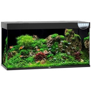 Kit Acuario
