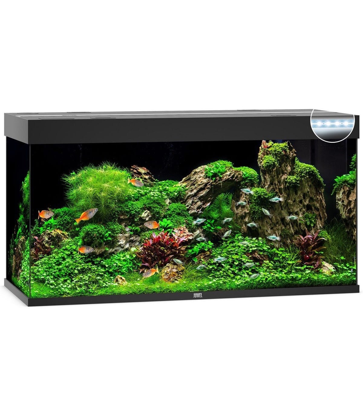 KIT ACUARIO 350 LITROS CON TAPA