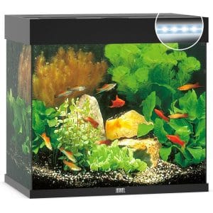 acuario 120 litros barato