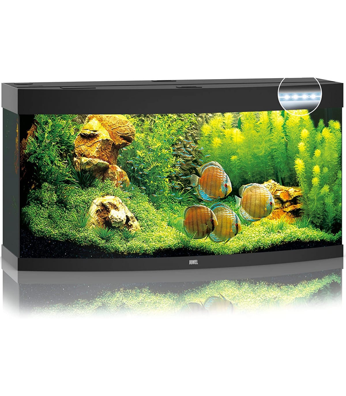 Kit completo de acuario de 260 litros JUWEL Vision con filtro, calentador y luz LED
