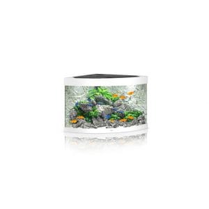 acuario esquinero 190l