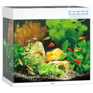 comprar acuario 120l con tapa