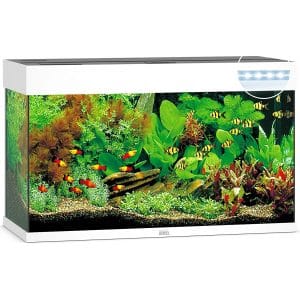 comprar acuario 125 litros con tapa