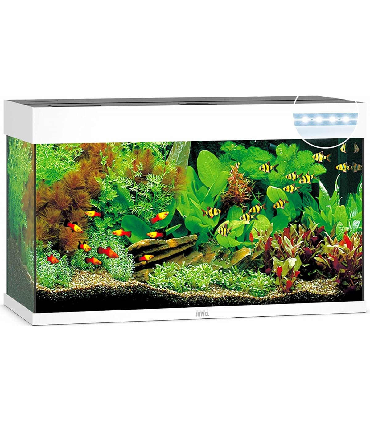 comprar acuario 125 litros con tapa