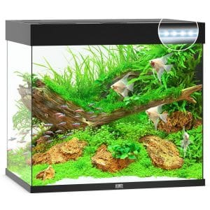 comprar acuario 200 l con filtro