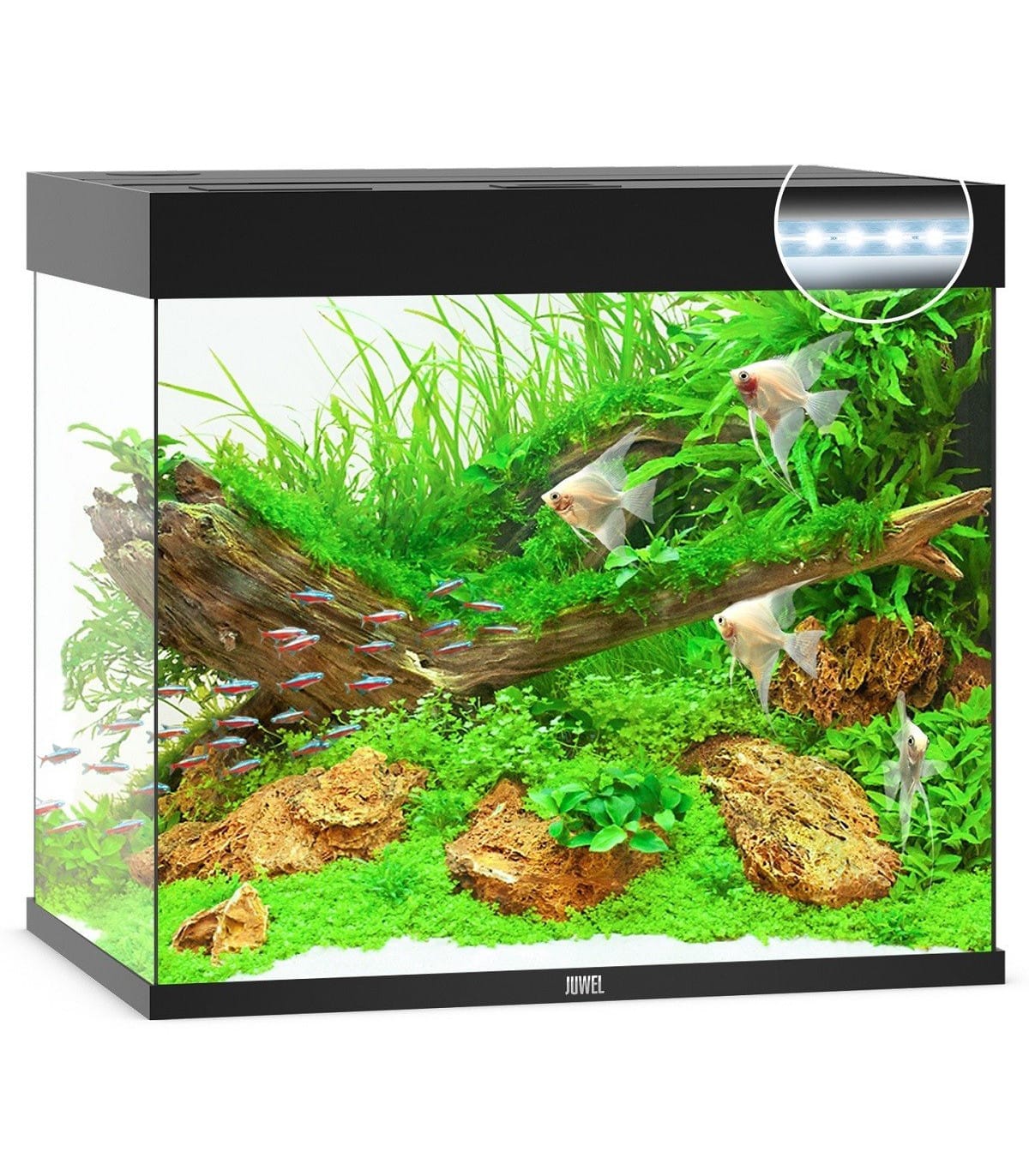 comprar acuario 200 l con filtro