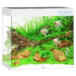 comprar acuario 200L