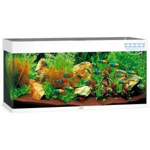 comprar acuario 240l