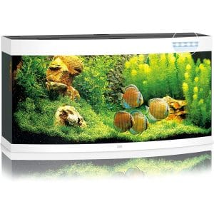 Kit Completo Acuario 260L 121x46x64 + filtro + iluminación – JUWEL VISION LED 260 BLANCO