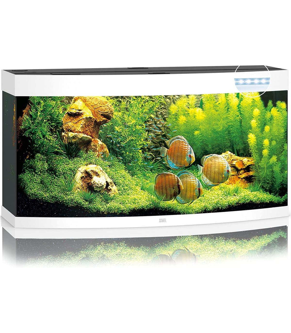 Kit Completo Acuario 260L 121x46x64 + filtro + iluminación – JUWEL VISION LED 260 BLANCO