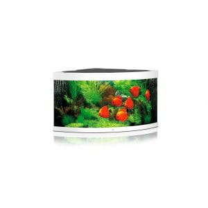 comprar kit acuario esquina blanco