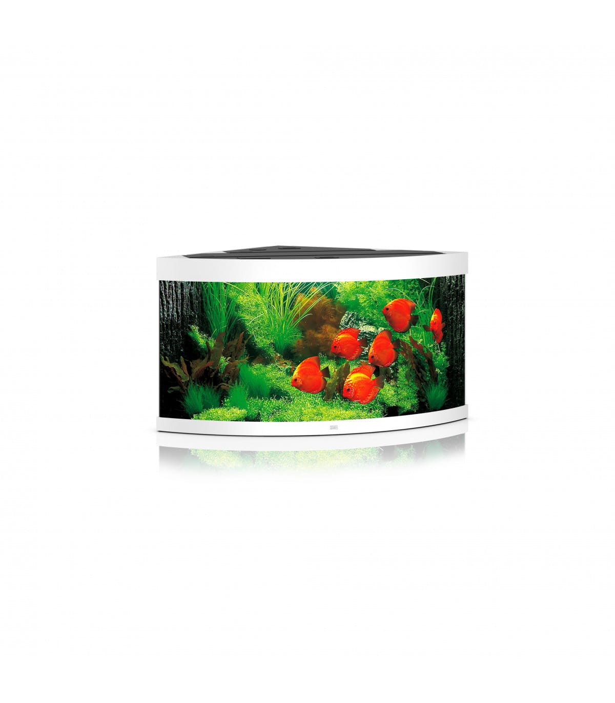 comprar kit acuario esquina blanco