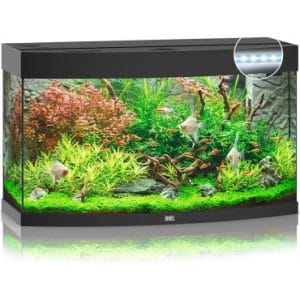 acuario kit completo barato