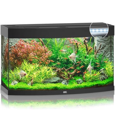 acuario kit completo barato