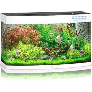 Kit Completo Acuario 180L 92x41x55 cm + filtro + iluminación – JUWEL VISION LED 180 BLANCO