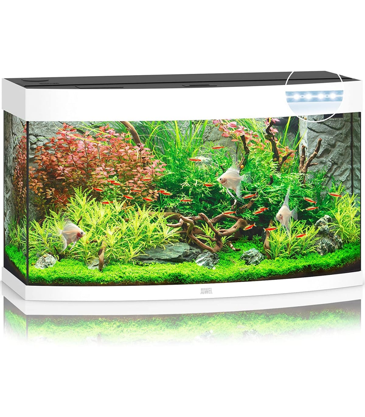 Kit Completo Acuario 180L 92x41x55 cm + filtro + iluminación – JUWEL VISION LED 180 BLANCO