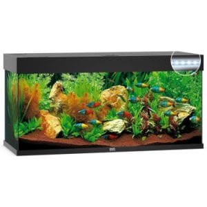 kit acuario 180 litros para principiantes