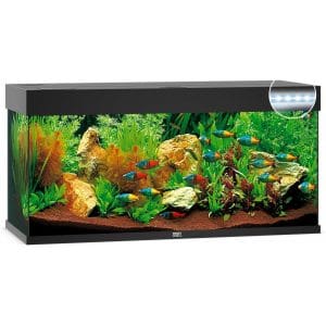 kit acuario completo 240l