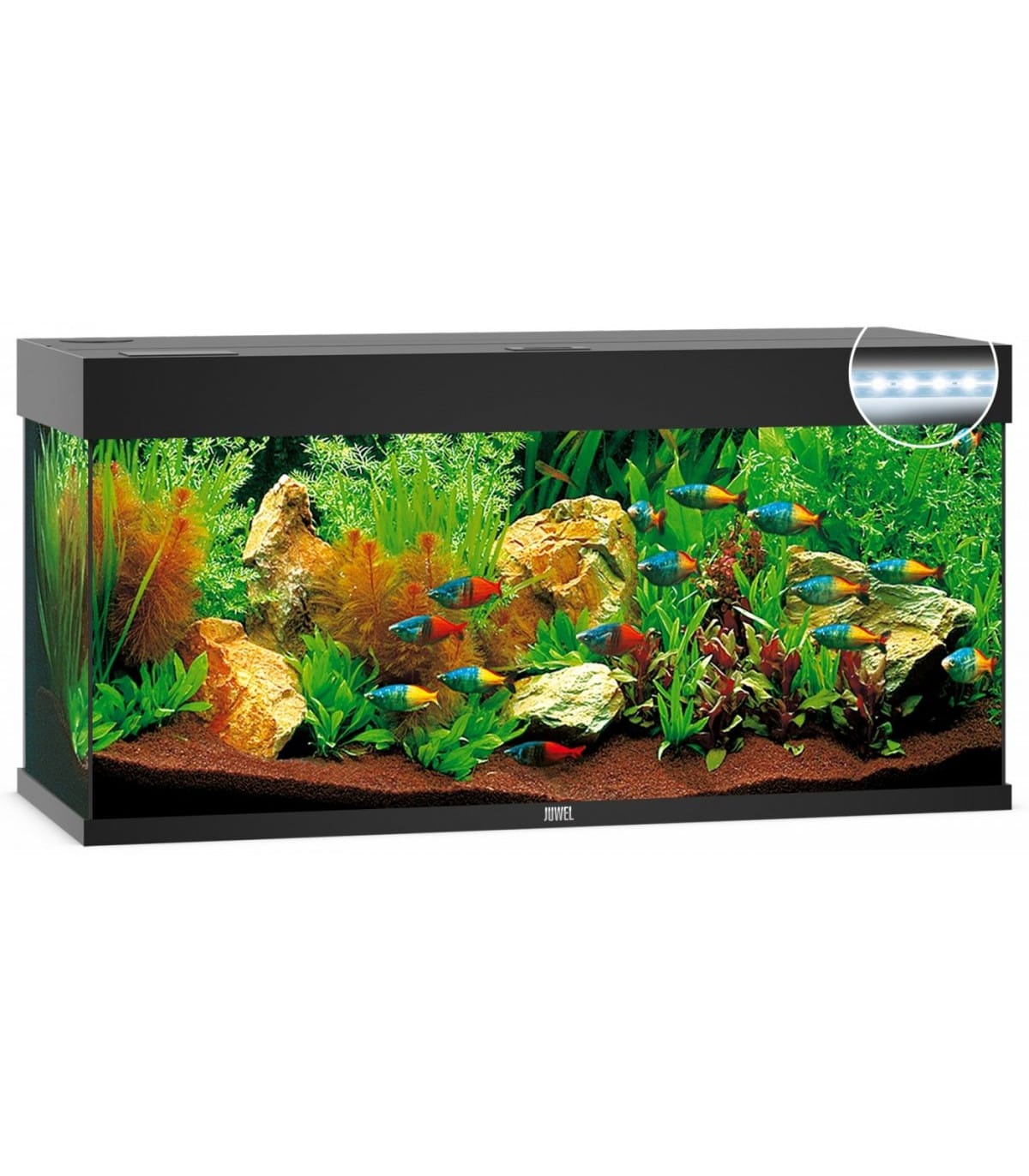 kit acuario completo 240l