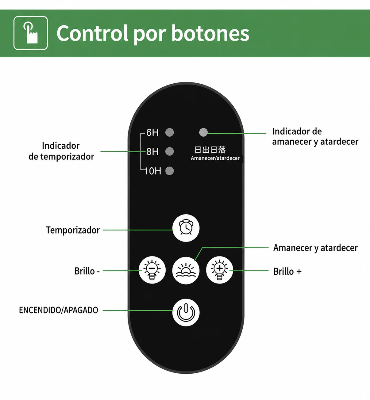 pantalla led acuario plantado con amanecer y atardecer