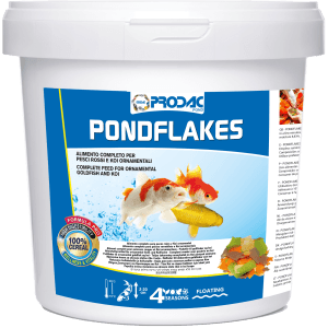 comida peces estanque