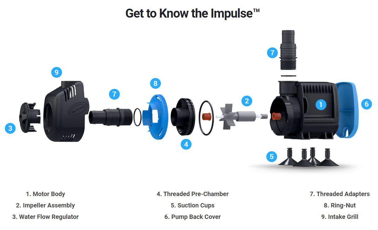 Seachem Bomba Impulse - Bomba de Agua para Acuario - Imagen 4