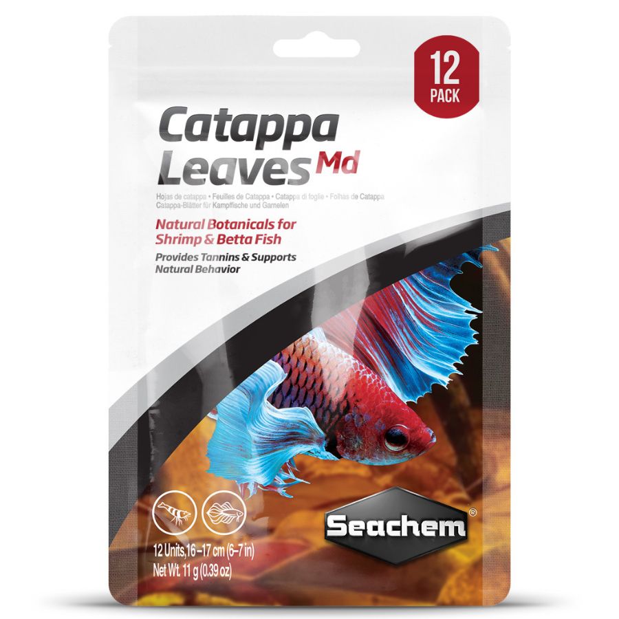 Seachem Hojas de Catappa Medianas Pack 12 unid. - Botánico Natural para Bettas