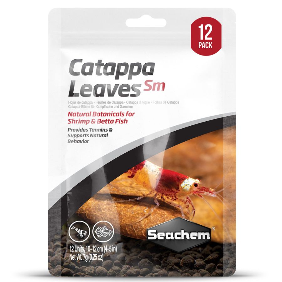 Seachem Hojas de Catappa Pequeñas Pack 12 unid. - Botánico Natural para Bettas