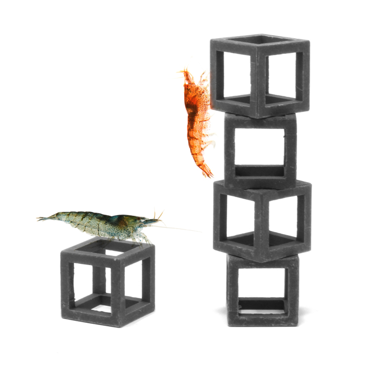 Refugios cerámicos Cubos para Gambas ideales para un gambario plantado