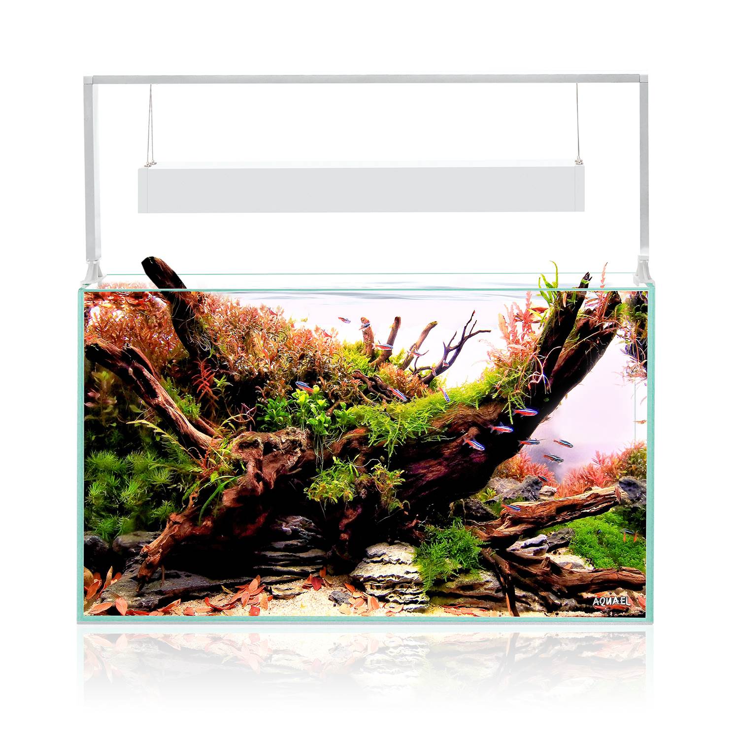 Ultrascape 60 Aquael - Acuario Aquascaping 65 Litros con Mueble y Luz LED - Imagen 2