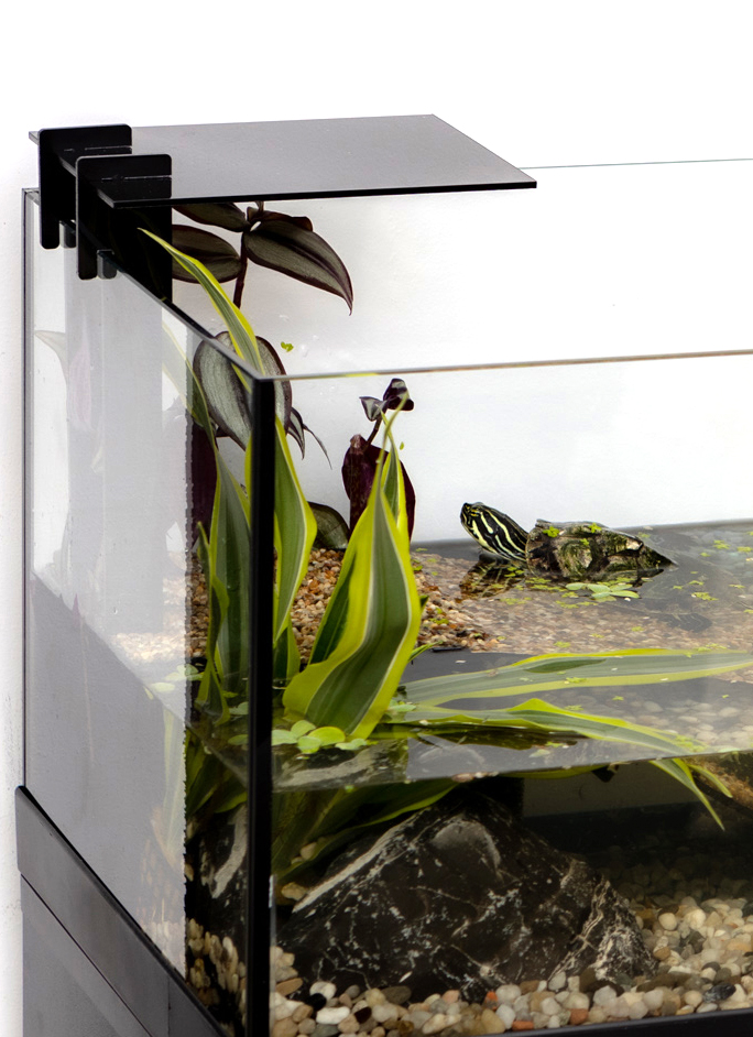 Aqua Terrarium Aquael - Acuaterrario 60, 80 y 100 cm para Tortugas con Plataforma - Imagen 6