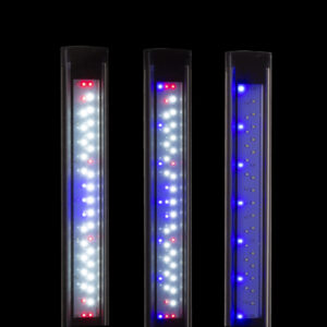 Leddy Slim Duo Aquael - Pantalla LED Sunny, Plant & Night 10 y 16 W para Acuarios