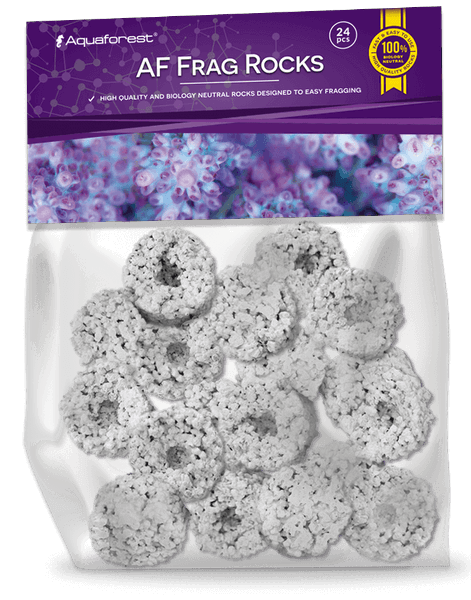 AF Frags Rocks Aquaforest - 24 Bases Cerámicas Medianas para Fragging de Corales