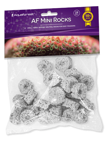AF Mini Frags Rocks Aquaforest - 24 Bases Cerámicas Pequeñas para Esquejes de Coral