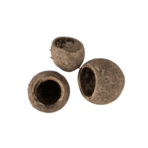 Bael Pod - Cáscara Botánica 4-6 cm para Acuario de Gambas y Aquascaping (Unidad)