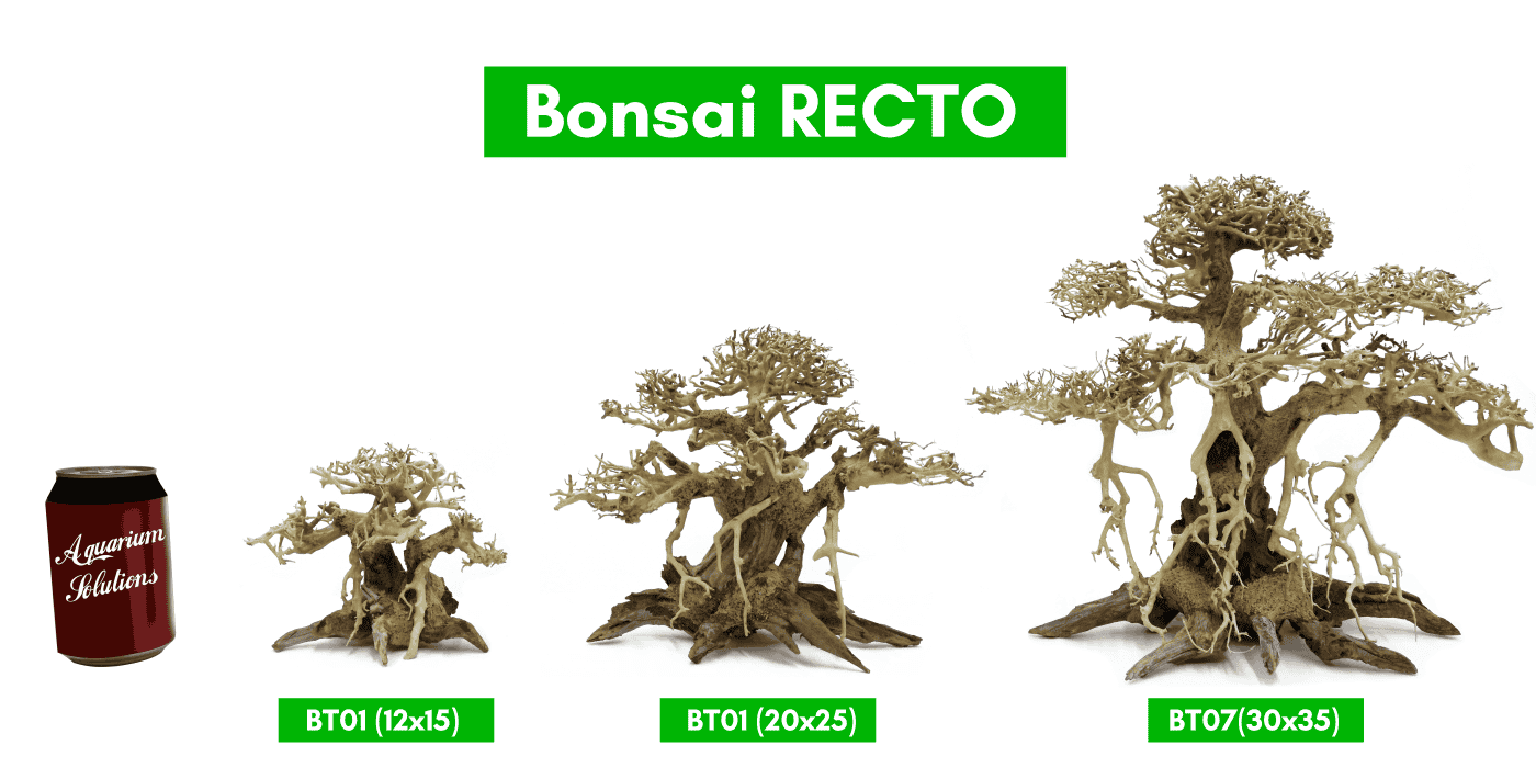 Bonsai Recto - Bonsai de Madera para Acuario 12x15, 20x25 y 30x35 cm - Imagen 2