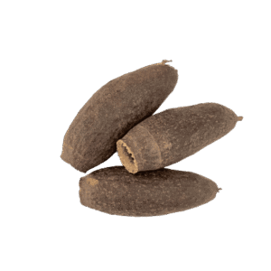 Cariniana Pod - Cáscara Botánica 6-8 cm para Acuario y Aquascaping (Unidad)