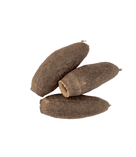 Cariniana Pod - Cáscara Botánica 6-8 cm para Acuario y Aquascaping (Unidad)