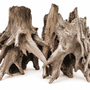 Lucky Wood - Tronco de Madera 15-60 cm para Acuario, por Kilo (1 a 20 kg)
