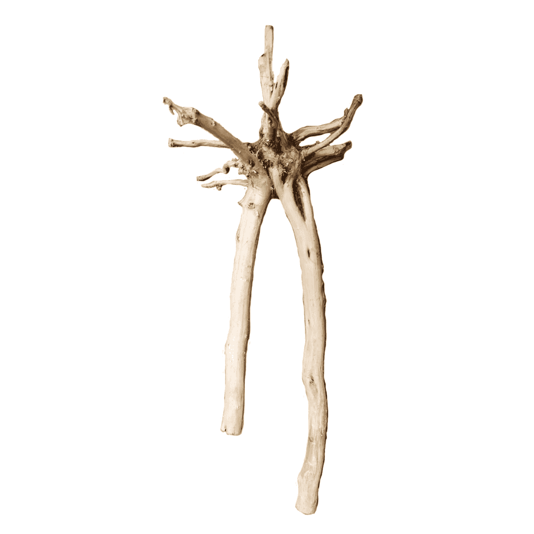 Lin Sam Wood - Rama de Madera Natural para Acuario, por Kilo (1 a 20 kg)