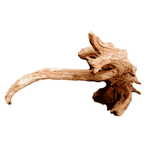Sam Wood - Raíz de Madera Natural para Acuario, por Kilo (1 a 20 kg)