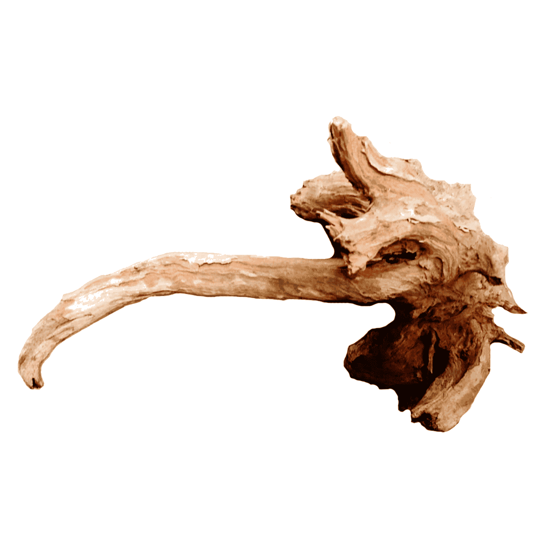 Sam Wood - Raíz de Madera Natural para Acuario, por Kilo (1 a 20 kg)