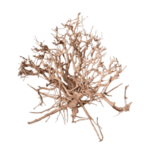 Satung Wood - Madera Ramificada para Acuario y Aquascaping, por Kilo (1 a 20 kg)