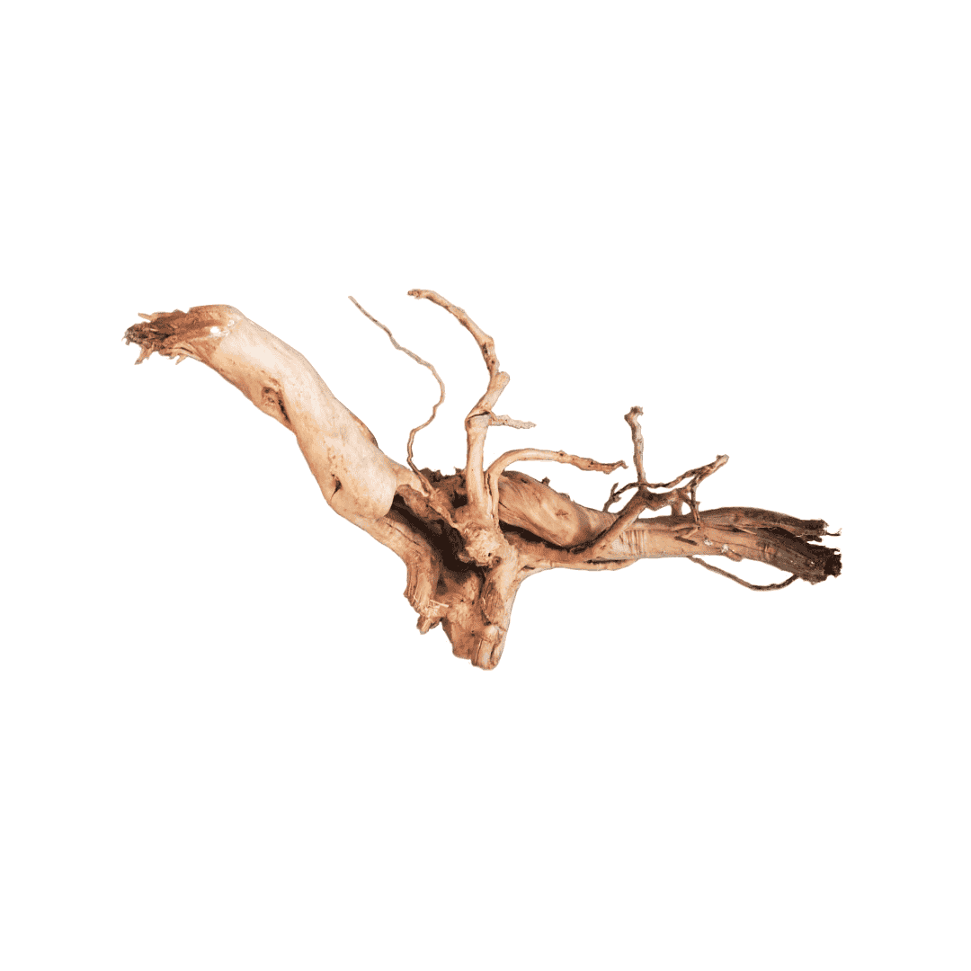 Spider Wood - Raíz Roja Spiderwood para Acuario, por Kilo (1 a 20 kg)