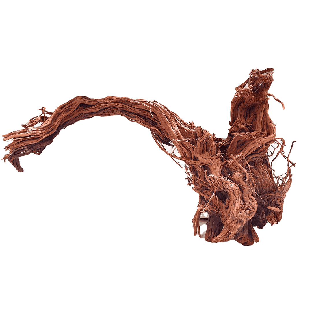 Twisted Wood - Raíz de Madera Retorcida para Acuario y Aquascaping, por Kilo (1 a 20 kg)